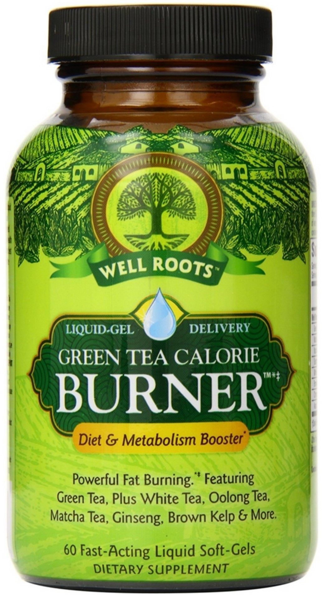 Well Roots Green Tea Calorie Burner FastActing Liquid Sofgels 60 ea