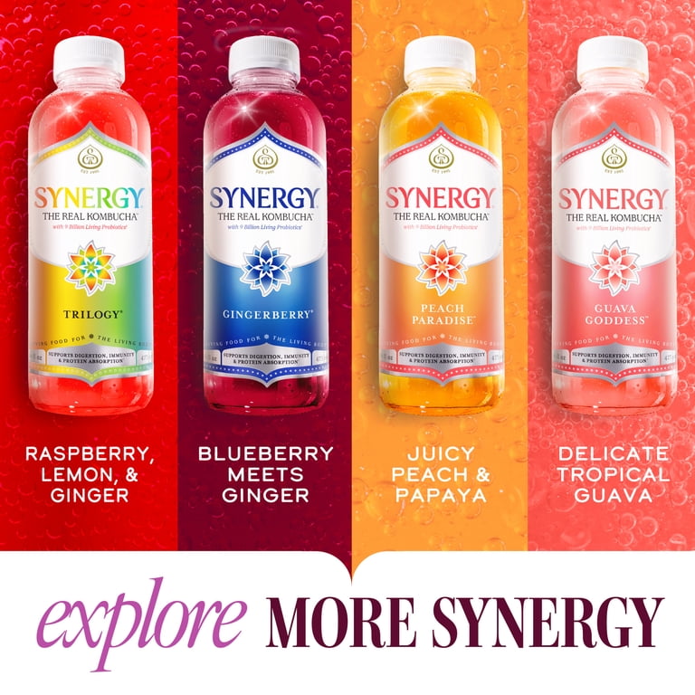 GT.S Synergy Real Kombucha Gingerade, 16 fl oz, Fermented Drink