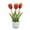 Watermelon Red, variant on kjfeif Three-Headed Tulip Bonsai Plant - Artificial Flowering Ornament for Desk Decor, Creative Gift Boxes & Modern Office Table Centerpieces