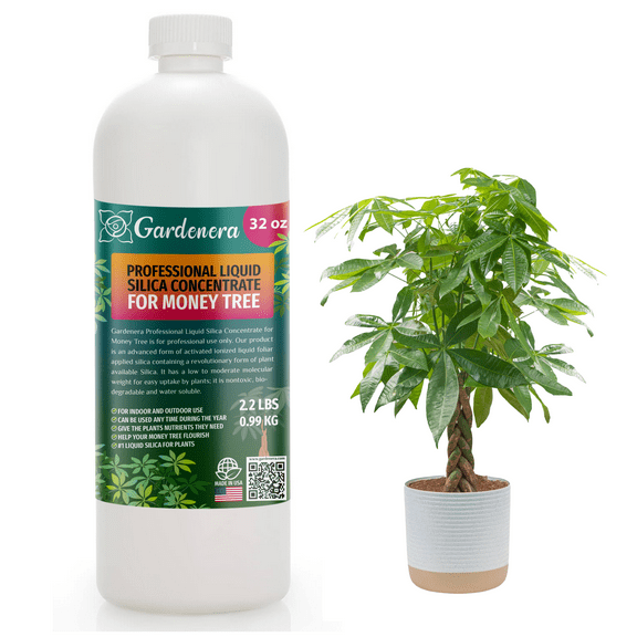 𝐏𝐑𝐎𝐅𝐄𝐒𝐒𝐈𝐎𝐍𝐀𝐋 Liquid Silica Plant Supplement - 32oz - MONEY TREE Plants Liquid Silica Boost Fertilizer - Stronger Stems & Healthy Leaves for Indoor & Outdoor Money Trees (Makes 180 Gallons)