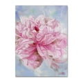 thumbnail image 2 of Li Bo 'Pink Peonie II' Canvas Art, 2 of 4