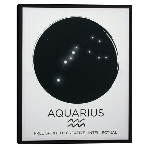 MoDRN Glam Aquarius Canvas Art Print, 16" x 20"