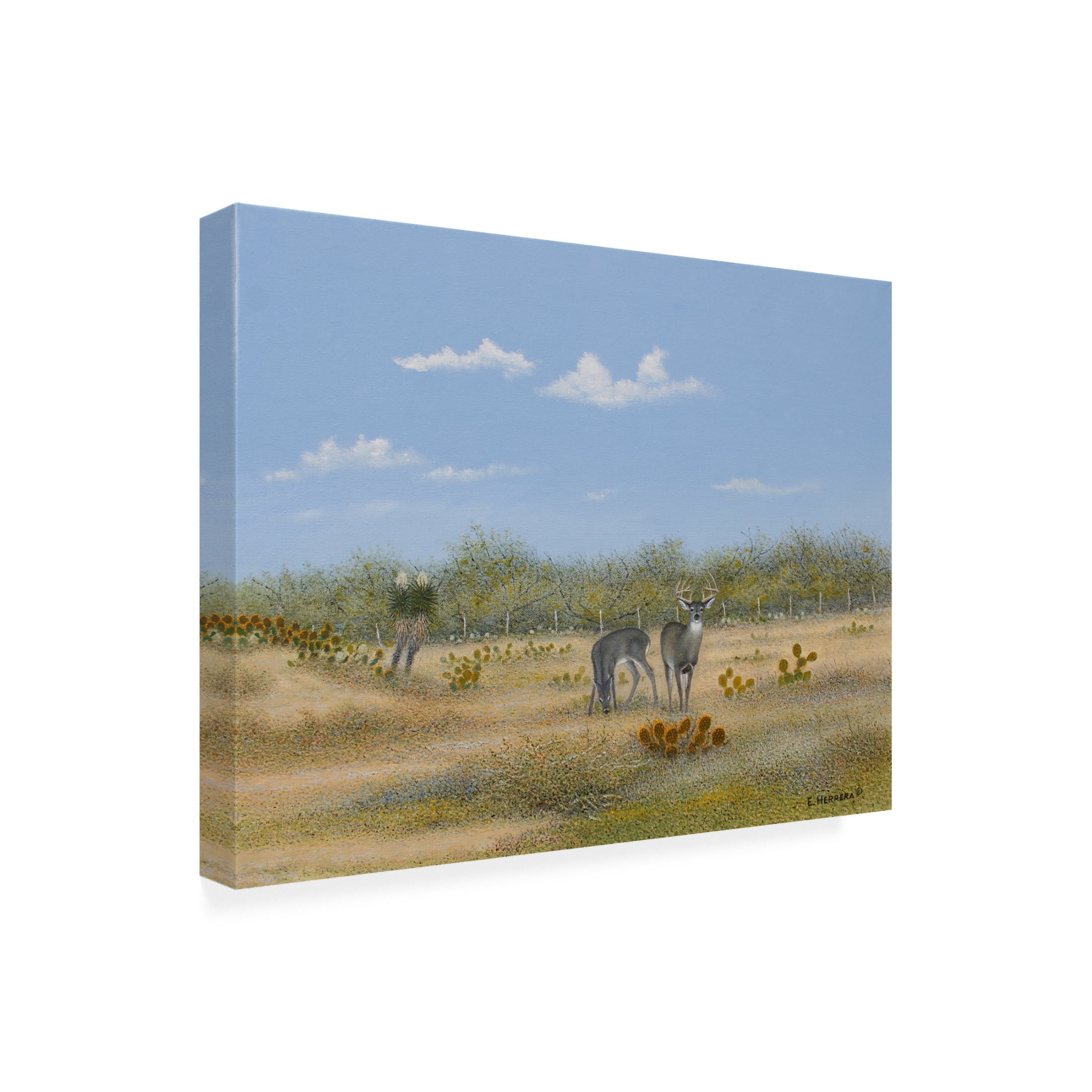 Canvas Wall Art - Eleazar Herrera 'The Property Line' Wall Art for Living Room, Bedroom, or Office Décor by Trademark Fine Art - 32 x 24 Inches