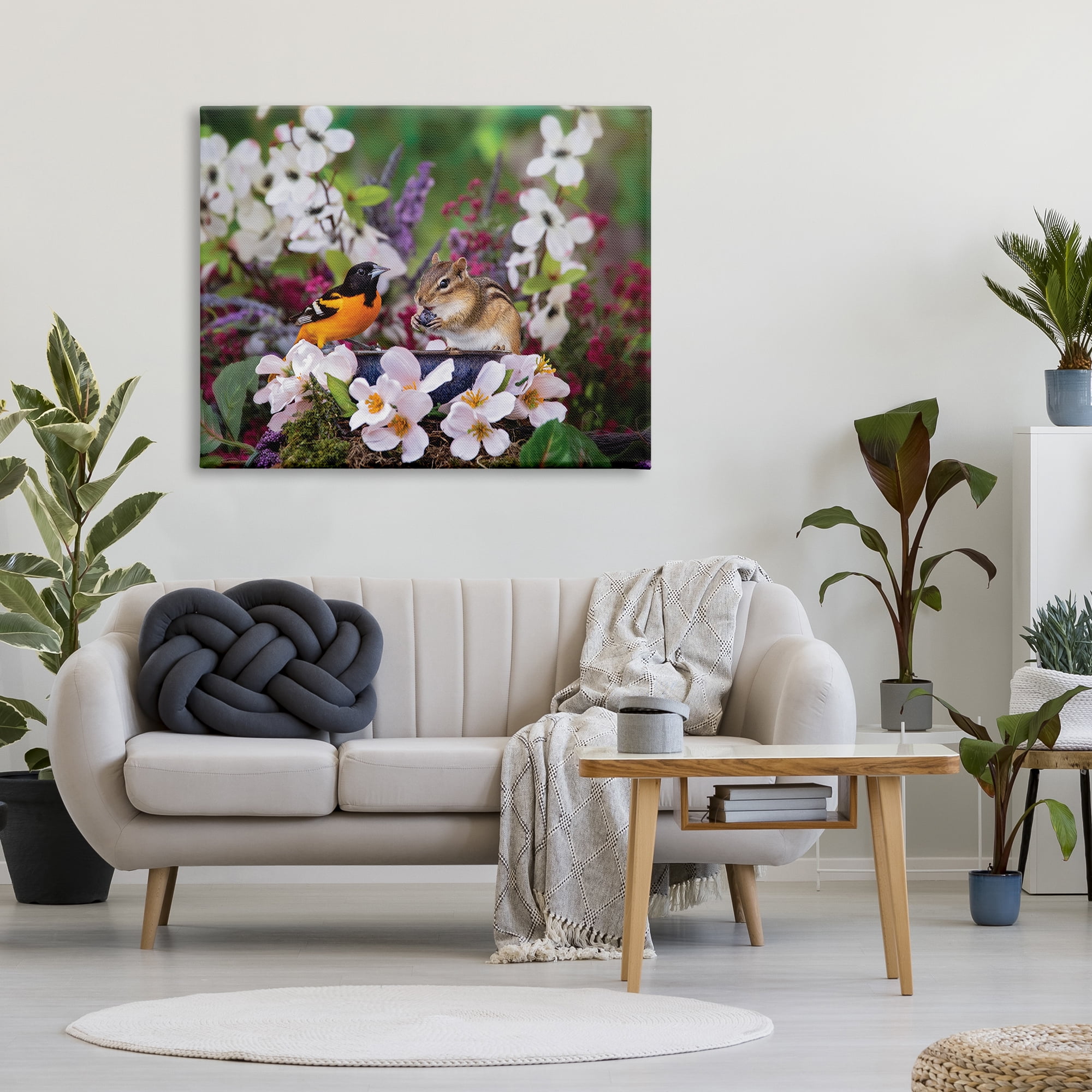 Stupell Industries Squirrel & Bird in Nature Animals & Insects Photography Gallery Wrapped Canvas Print Wall Art, 48 x 36