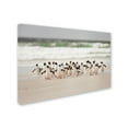 thumbnail image 2 of Joan Gil Raga 'Desembarco' Canvas Art, 2 of 3