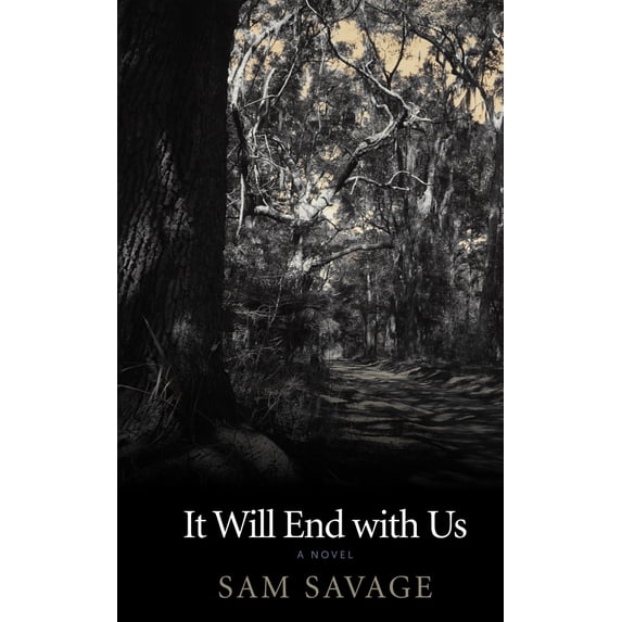 Pre-Owned It Will End with Us, (Paperback)