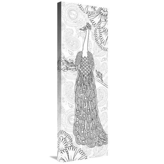 Global Gallery's 'Boho Peacocks II' by Elyse DeNeige Stretched Canvas Wall Art