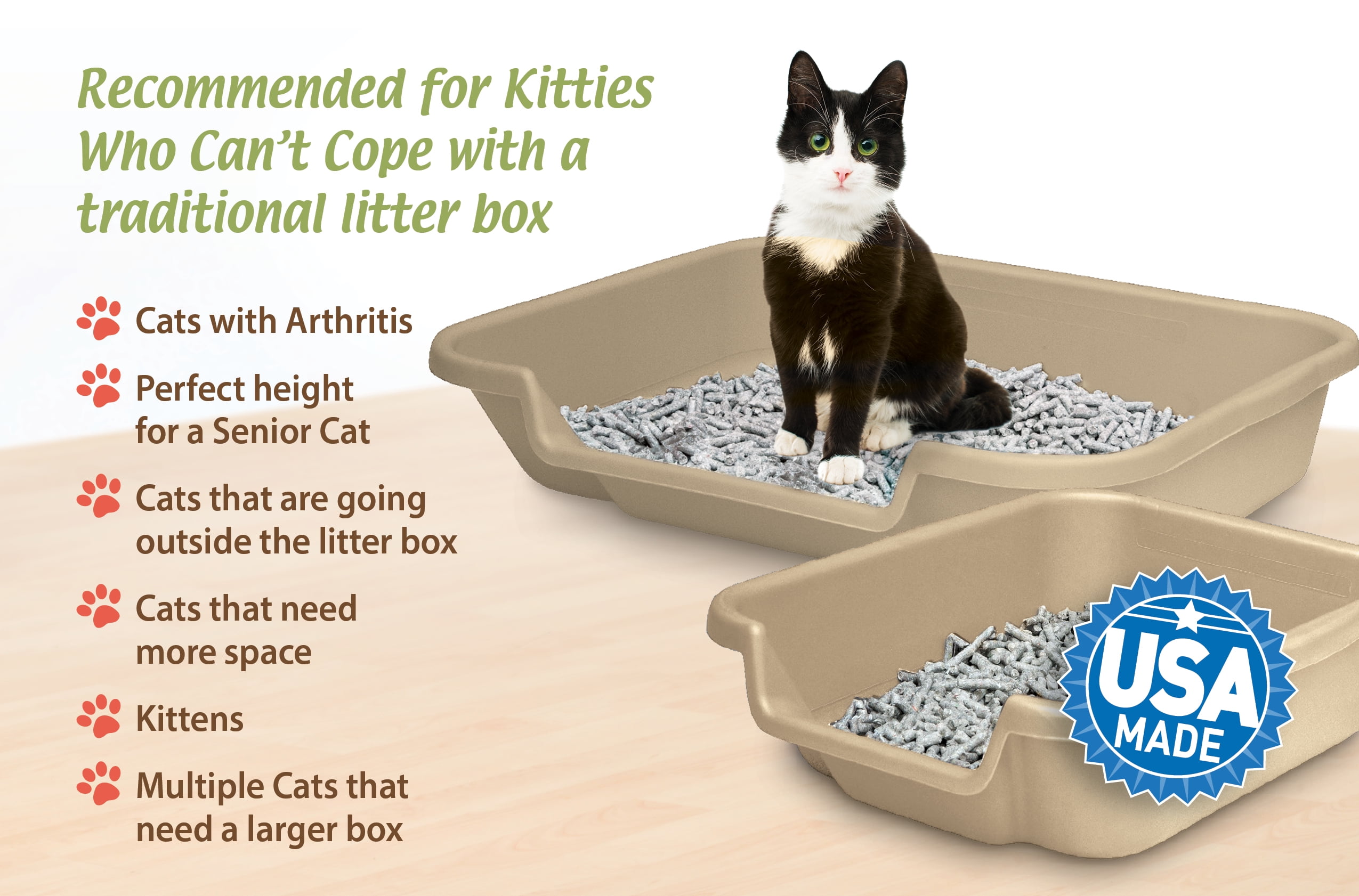 Kitty Go Here Senior Cat Litter Box Sand Color Small Size