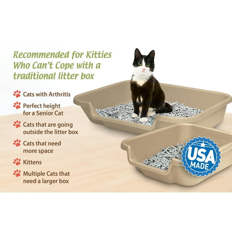 KittyGoHere Senior Cat Litter Box, Sand, Small