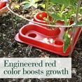 thumbnail image 4 of Dalen Gardeneer Tomato Tray Super Boost – Increases Tomato Plant Yield up to 40% – Easy to Install – 12" x 12" x 3.5" – Pack of 3, 4 of 6
