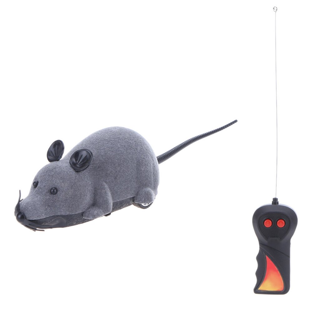 cat toys mouse remote control