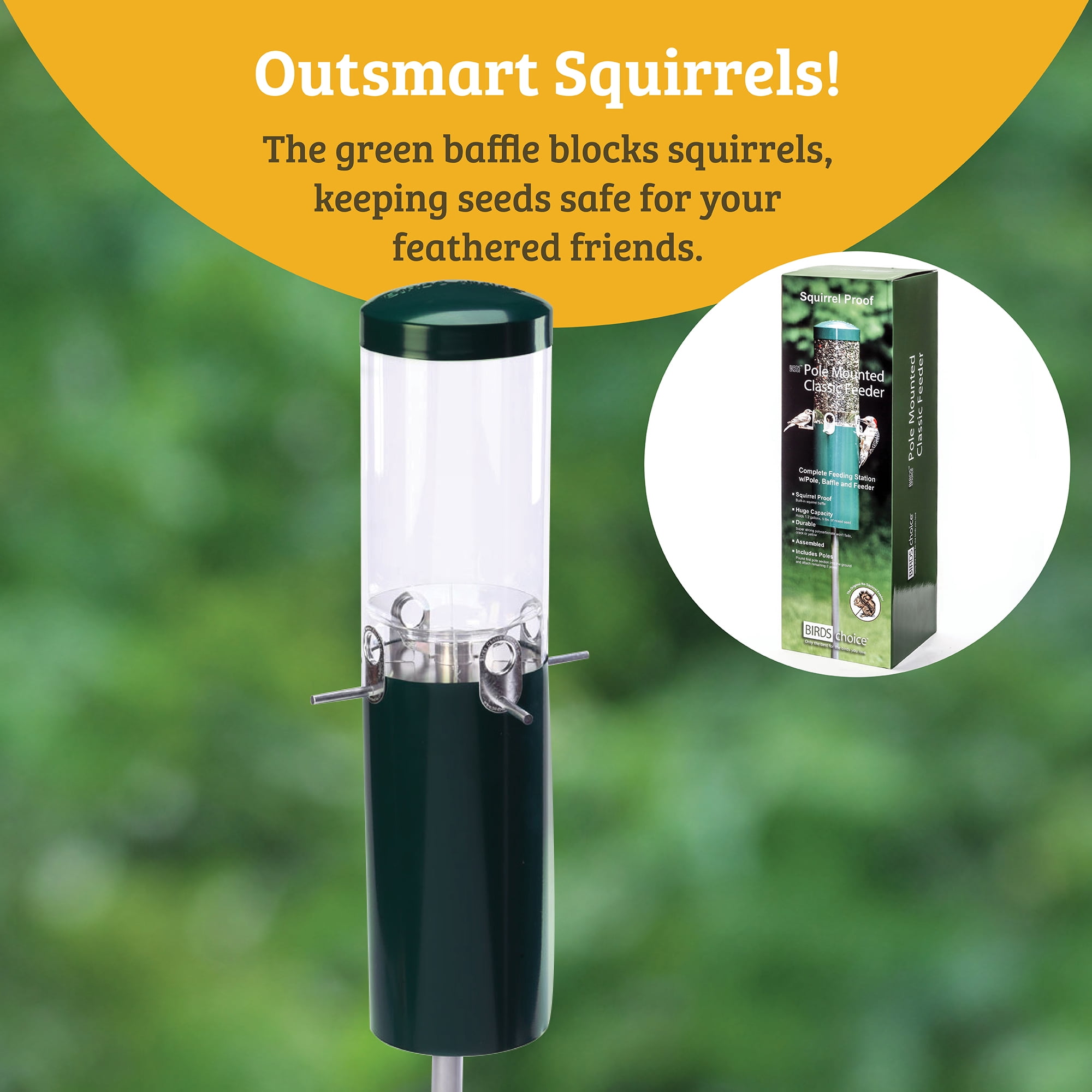Birds Choice Squirrel Proof Bird Feeder with Pole and Squirrel Baffle, Green