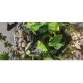 thumbnail image 5 of Decorative Terrarium Planter Waterfall Fountain with Stone Design, Live Mixed Plants, Indoor Garden Display, 58 Inch, 5 of 5