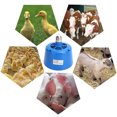 thumbnail image 4 of 220V Adjustable 100-300W Blue Plastic Heat Lamp with Energy-Saving LED - Fire-Resistant, Efficient Heating for Piglets, Chickens, Poultry & Pets - Easy-to-InstallHeating Accessory with 3 Power Levels, 4 of 6