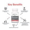 thumbnail image 4 of Allergy Research Group NAC Supplement - N-Acetyl-L-Cysteine, Glutathione Precursor, Supports Immune Function, Healthy Mucus Clearance, Free Form Amino Acid, Hypoallergenic - 120 Count, 4 of 7