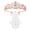 Rose Gold-White, variant on Dserhfy Bachelorette Party Accessories Set Rhinestone Crown Bride to Be Sash Veil Bridal Shower Decoration for Bachelorette Night Party Supplies