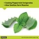thumbnail image 4 of Gel para pies PROFOOT Sal de Epsom que alivia el dolor, 120 ml, 4 of 5