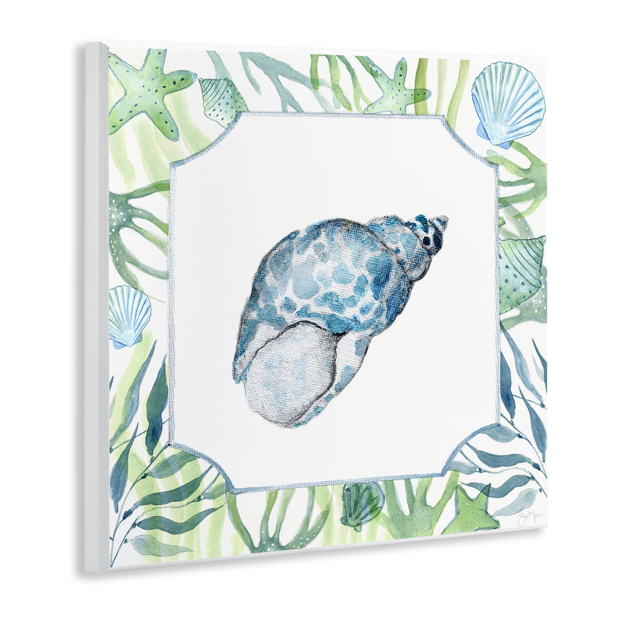 Stupell Industries Spotted Cowrie with Seaweed Wall Plaque Art, design by Janet Tava
