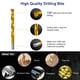 thumbnail image 3 of Juego de brocas HURRICANE Titanium Twist 99 piezas HSS 1/16-3/8, 3 of 7
