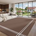 Solid Color Area Rug 8'x10', Brown Large Area Rugs Non-Slip Silicone ...