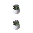 thumbnail image 4 of Moyic Mini de oficina de flores falsas de bonsái de simulación suculenta artificial Type2 NO2, 4 of 6