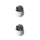 thumbnail image 1 of Billuyoard Simulación de plantas suculentas artificiales, bonsái, arreglo en maceta de flores falsas, paisaje, sala de estar, de fiesta en casa Type1 NO1, 1 of 6