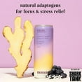 Moment Adaptogen Drink (as seen on Shark Tank) STILL Blueberry Ginger