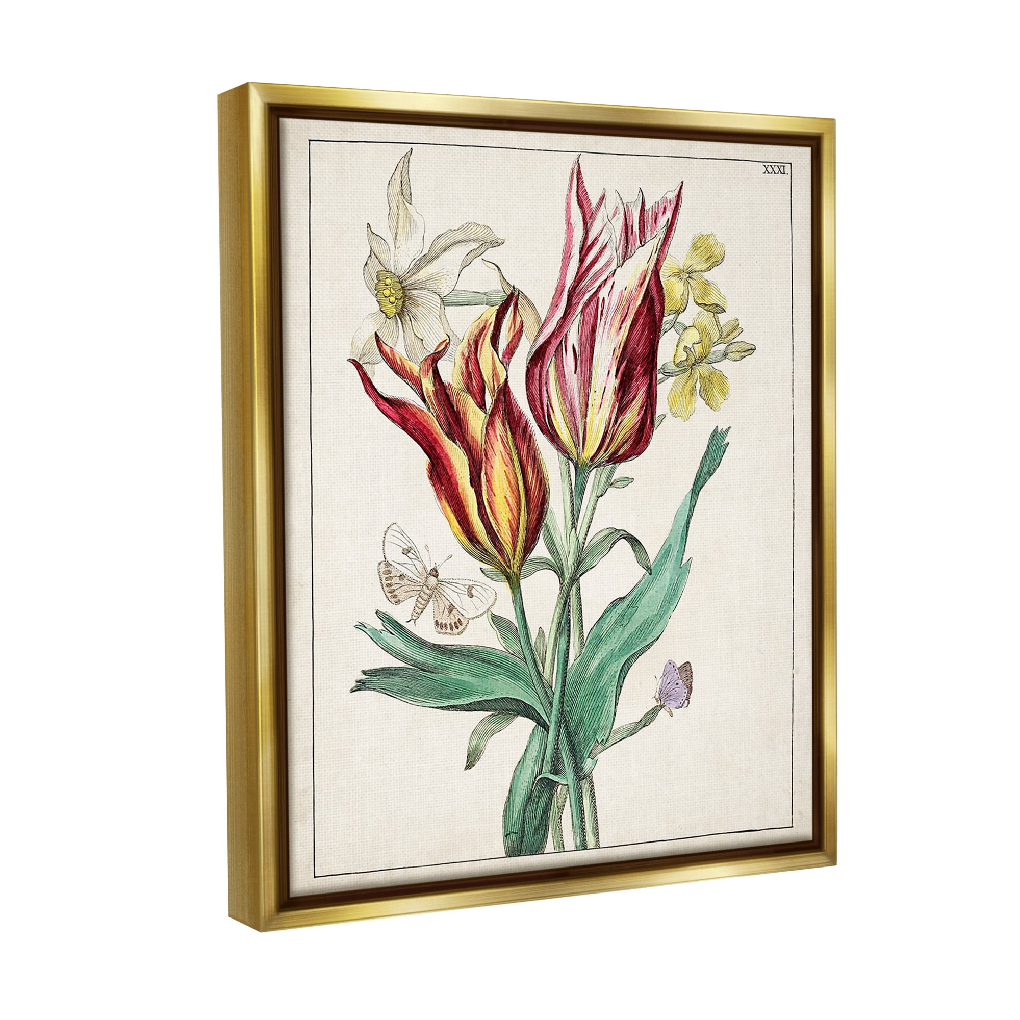 Stupell Industries Tulips & Moths Study Botanical & Floral Painting Gold Floater Framed Canvas Art Print Wall Art, 17 x 21