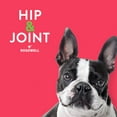 thumbnail image 7 of Dogswell 842191 Hip & Joint Chicken Jerky Pet Food, 12 Oz, 7 of 7