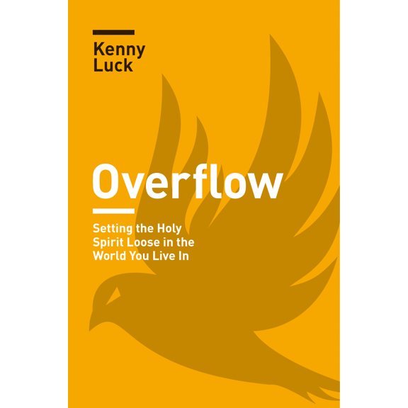 Overflow : Setting the Holy Spirit Loose in the World You Live In (Paperback)