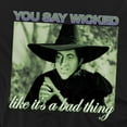 thumbnail image 2 of The Wizard of Oz Wicked Witch Unisex Adult V-Neck T Shirt (Medium) Black, 2 of 4