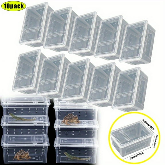 Insect Feeding Containers 10-Pack, Small Animal Breeding Boxes 5.9x3.9x2.5 Inch for Reptiles, Spiders, Geckos & Scorpions