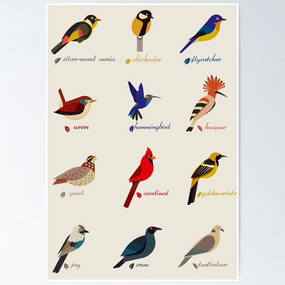 POSTER for bird lovers POSTER UNFRAMED, 8x12