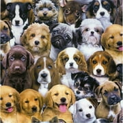 Adorable Pets Puppies and Dogs Cotton Fabric by Elizabeth's Studio