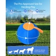 thumbnail image 2 of Pelota de Pastoreo Tychesy Inflable Resistente de 64 cm, 2 of 6