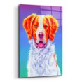 thumbnail image 2 of Epic Art 'Brittany Spaniel'  by Rebecca Wang Art Acrylic Glass Wall Art, 12" x 16", 2 of 8