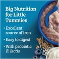 thumbnail image 2 of GERBER® Stage 3 Multigrain Yogurt Blueberry Baby Cereal 227 g, 2 of 9