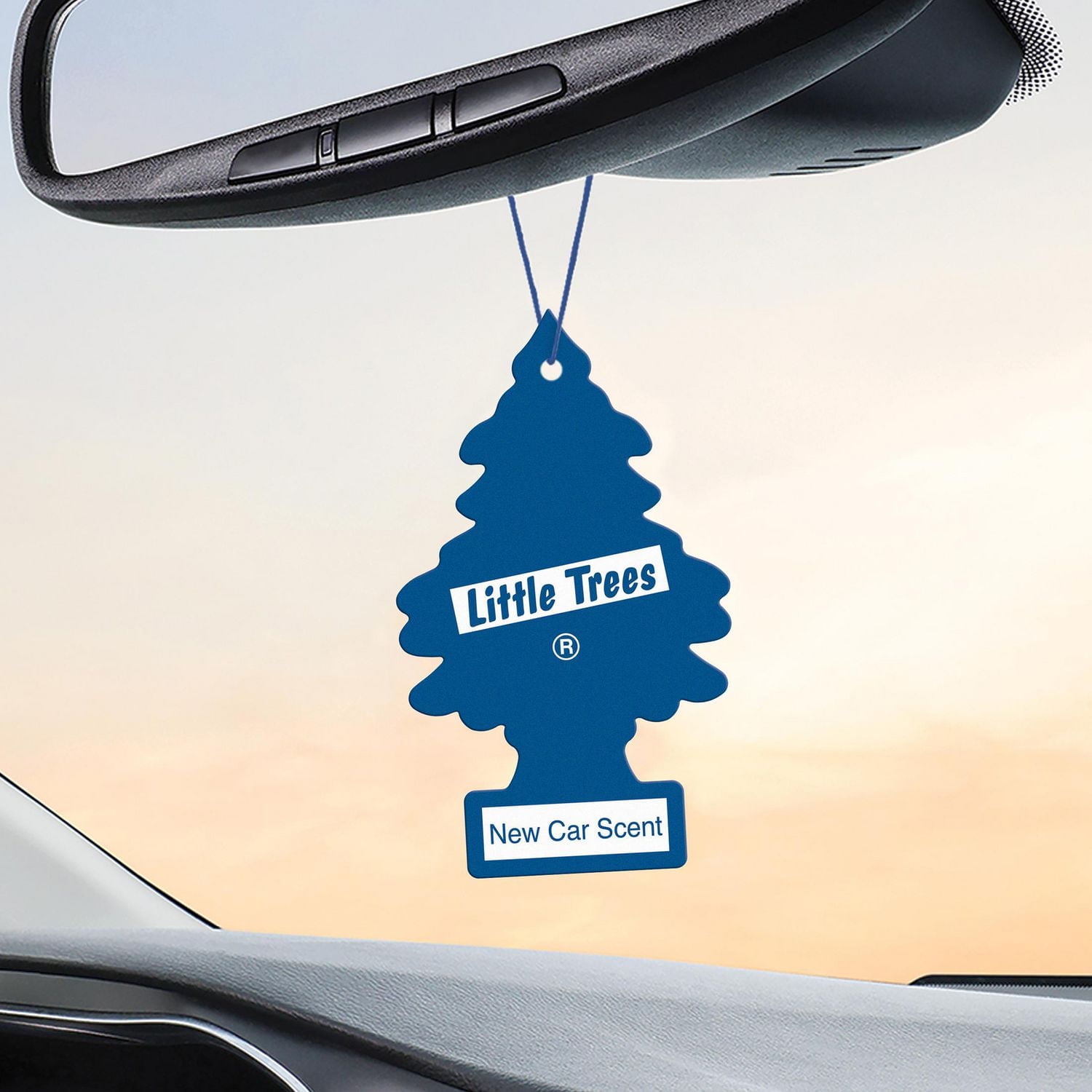 LITTLE TREES air freshener New Car Scent 24 Count