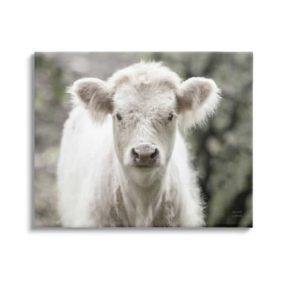 Stupell Industries White Cow Calf Portrait Animals & Insects Photography Gallery Wrapped Canvas Print Wall Art, 40 x 30