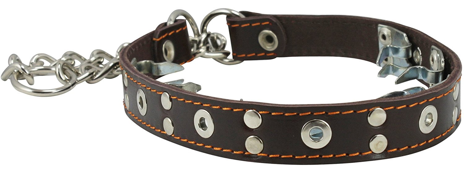 15.5-19 Training Genuine Leather Pinch Martingale Dog Collar Studded 4mm Link Brown 3 Sizes 