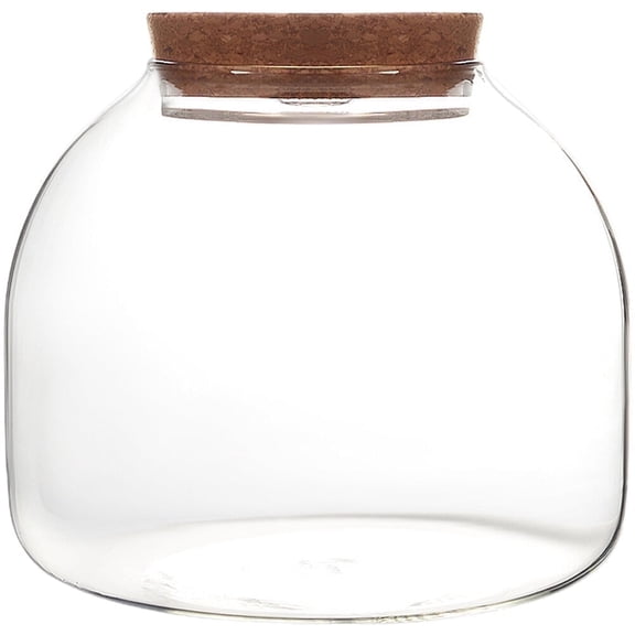 Glass Terrarium Jar with Wood Stopper Micro Landscape Container Hydroponic Plants Terrarium