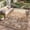 LG-Beige & Brown, variant on VUNATE Outdoor Rug Carpet 5'x8' Waterproof Reversible Patio Rug Portable Modern Abstract Indoor Outdoor Rug Plastic Straw Rug for RV Camping Garden Picnic Deck Backyard Porch Decor Gray and White