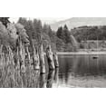 thumbnail image 2 of Styber, Dana 24x17 Black Ornate Wood Framed with Double Matting Museum Art Print Titled - Baker Lake Pilings, 2 of 4