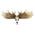 thumbnail image 3 of Rustic Western Moose Elk Skull With Point Hook Antlers Wall Floating Shelf 22"L, 3 of 5