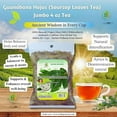 thumbnail image 5 of Guanábana Hojas Secas Te (Graviola/Dried Soursop Leaves Tea)4 oz Bag – 100% Natural, Vegan Herbal Tea – Includes Infuser/Incluye Infusor, Traditional Latin Delicioso & Saludable– by Bexpertsusa, 5 of 9