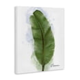 thumbnail image 2 of Stupell Industries Contemporary Modern Banana Plant Leaf Canvas Art, 24 x 30, by Matthew Piotrowicz, 2 of 7