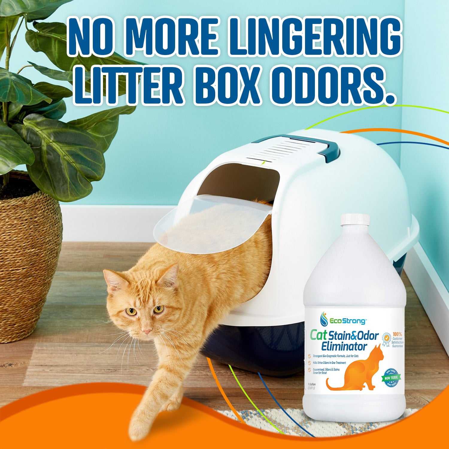 CMMPPJXH Stain and Odor Eliminator Enzyme Urine Odor Neutralizer and