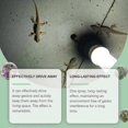 thumbnail image 2 of Hozonex Gecko Repeller Everyday Home Convenient Insect Repellent Indoor Gecko-Free Household Sprays, 2 of 4