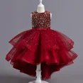 thumbnail image 2 of Vestidos de princesa para niños y mujeres, superventas internacional, vestido de cola hinchada con flores europeas y americanas para conciertos, 2 of 5