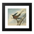 thumbnail image 2 of James Sowerby 22x20 Black Modern Framed Museum Art Print Titled - Bird of Paradise, 2 of 5
